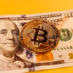 100 Sure Wins Only: Why Betting Guarantees Are Risky