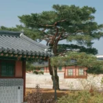 On the Cultural Inheritance That Shapes Korean Gambling Attitudes