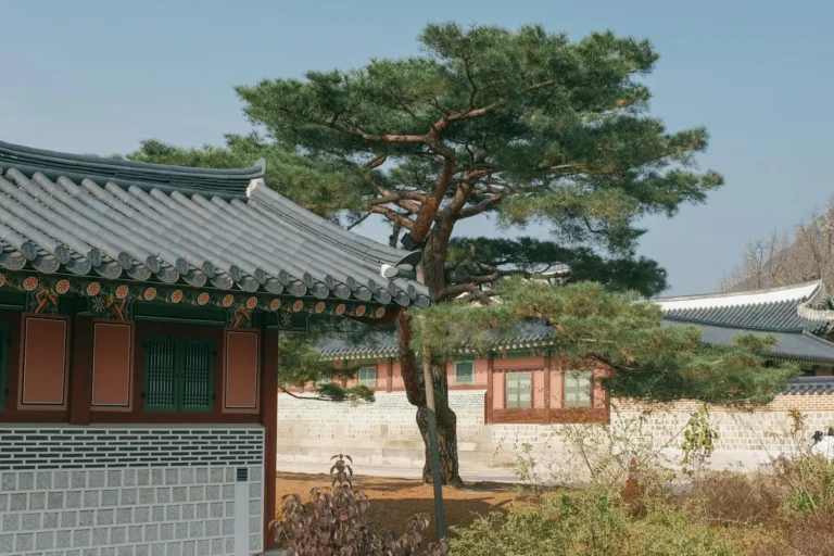 On the Cultural Inheritance That Shapes Korean Gambling Attitudes