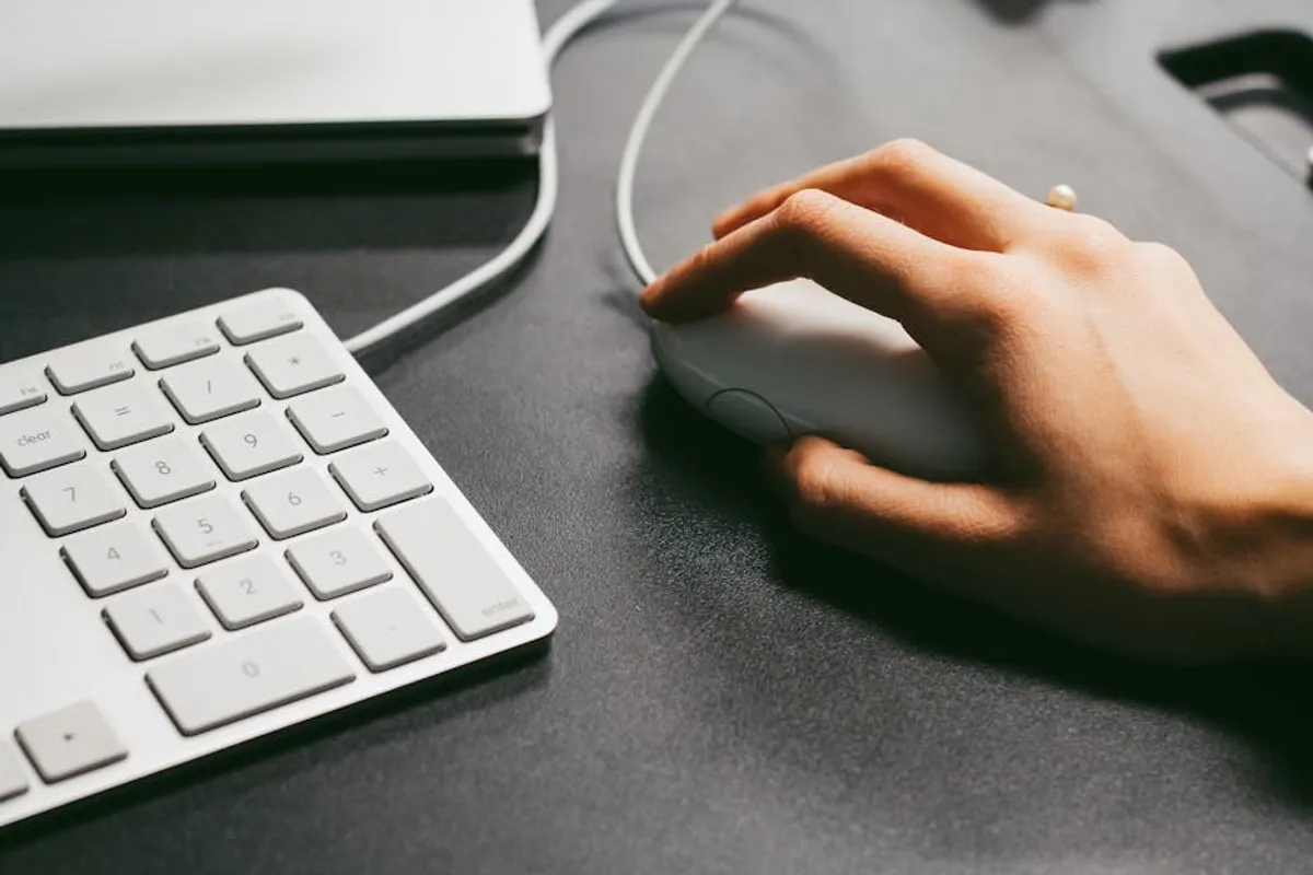 From Curiosity to Clicks: Why bralad.com Gets Searched